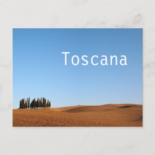 トスカーナ風景(ヒノキと文字葉書) ポストカード (正面)