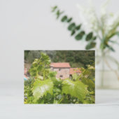 トスカーナ。イタリア。コルトナ。 ポストカード (スタンド正面)