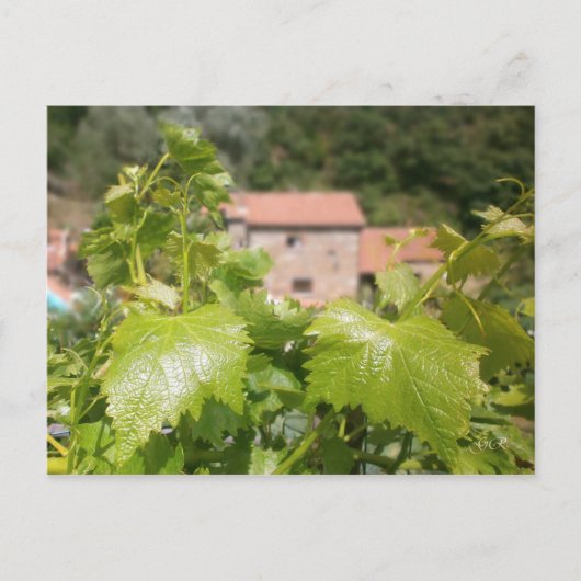 トスカーナ。イタリア。コルトナ。 ポストカード (正面)