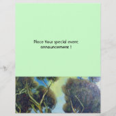 トスカーニの松林 チラシ (裏面)