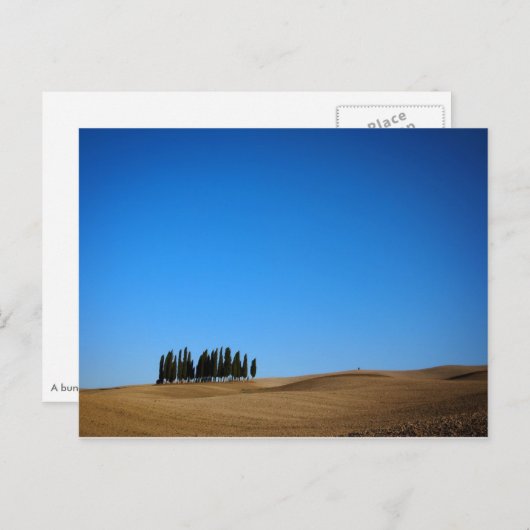 トスカーニの柏の木のポストカード ポストカード (正面/裏面)