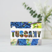 トスカーニイタリアトスカーナヴィンヤード旅行写真 ポストカード (スタンド正面)