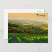 トスカーニイタリイタリアンヴィネヤードトラベルフォト ポストカード (正面/裏面)