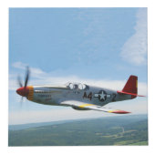 トスケージエアマンコイン フォトキューブ (右)