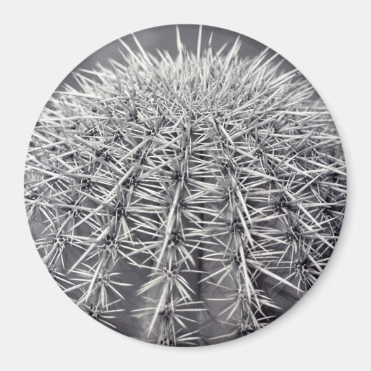 トチカボサボソノラン砂漠の冷凍機磁石 マグネット (正面)