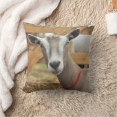 トッゲンブルク酪農山羊雌 クッション (ブランケット)