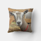 トッゲンブルク酪農山羊雌 クッション (裏面)