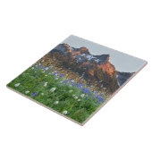 トッシュレンジとワイルドフラワー |レイニエ山 タイル (側面)