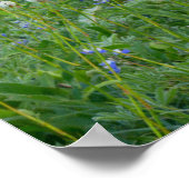 トッシュレンジとワイルドフラワー |レイニエ山 ポスター (角)