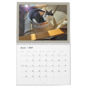 トッドと友達の年代記 2026年カレンダー カレンダー (3月 2027)