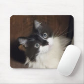 トッドのクロニクル – マウスパッド (マウス)