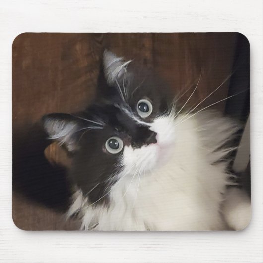 トッドのクロニクル – マウスパッド (正面)