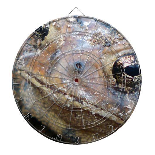 トッド顔 ダーツボード (正面)