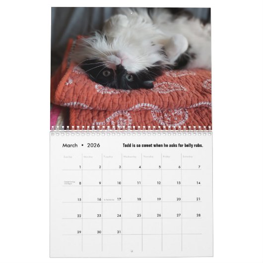 トッド2025年の暦記 カレンダー (3月 2026)