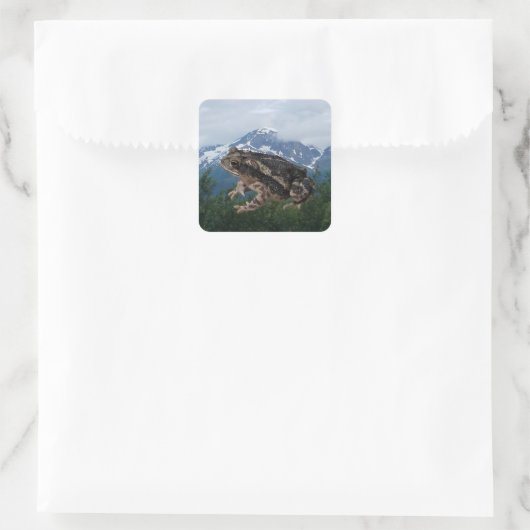 トッド スクエアシール (バッグ)