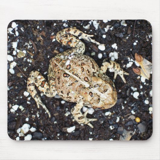 トッド マウスパッド (正面)