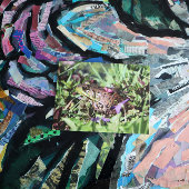 トッド・ラブ ポストカード