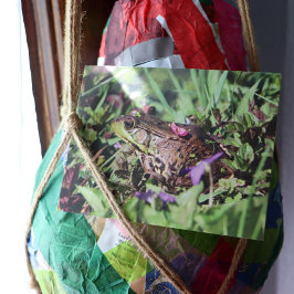 トッド・ラブ ポストカード