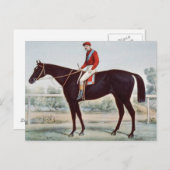 トップウィナーズサークル ポストカード (正面/裏面)