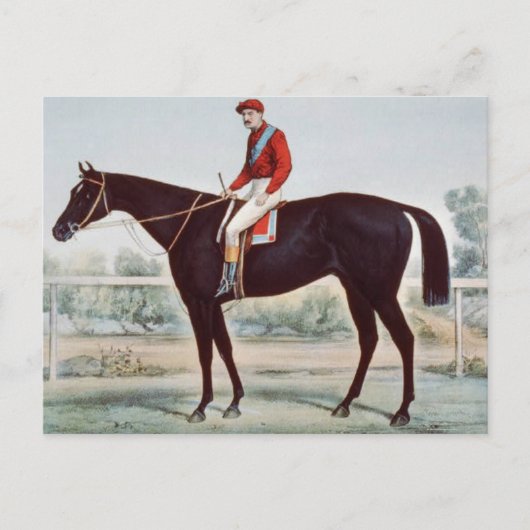 トップウィナーズサークル ポストカード (正面)