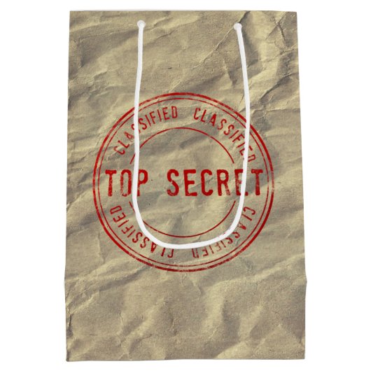 トップシークレットシワ紙ノベルティ抱き枕 ミディアムペーパーバッグ (裏面)