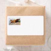 トップトロッター ラベル (インサイチュ)