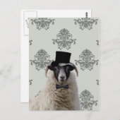 トップハおもしろいットで羊の花婿を作る ポストカード (正面/裏面)