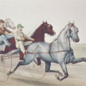 トップハーネスレース シール (正面)