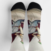 トップハーネスレース ソックス (上部)