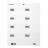 トップハーネスレース ラベル (フルシート)