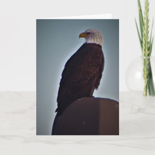 「トップバード」共感カード カード (正面)