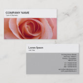 トップパネル – ピンクローズの名刺 名刺 (正面/裏面)