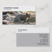 トップパネル – 灰色リスの名刺 名刺 (正面/裏面)