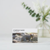 トップパネル – 灰色リスの名刺 名刺 (スタンド正面)