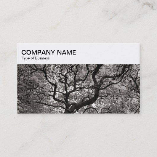 トップパネル – Magnolia Trees Business Card 名刺 (正面)