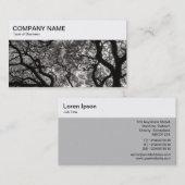 トップパネル – Magnolia Trees Business Card 名刺 (正面/裏面)