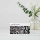 トップパネル – Magnolia Trees Business Card 名刺 (スタンド正面)