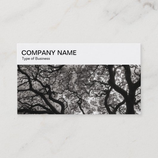 トップパネル – Magnolia Trees Business Card 名刺 (正面)