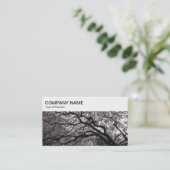 トップパネル – Magnolia Trees Business Card 名刺 (スタンド正面)