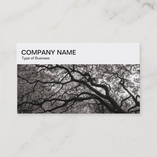 トップパネル – Magnolia Trees Business Card 名刺 (正面)