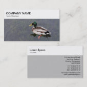 トップパネル – Mallard Duck名刺 名刺 (正面/裏面)