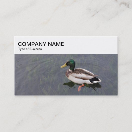 トップパネル – Mallard Duck名刺 名刺 (正面)