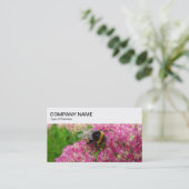 トップパネル – Sedum Business Cardののまわりに 名刺 (スタンド正面)