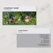 トップパネル – Two Ducks Business Card 名刺 (正面/裏面)
