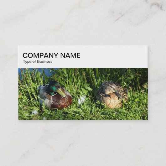 トップパネル – Two Ducks Business Card 名刺 (正面)