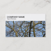 トップパネル – Winter Branches名刺 名刺 (正面)