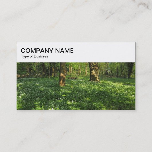 トップパネル – Woodland 名刺 (正面)