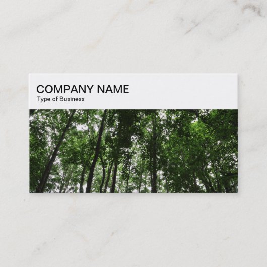 トップパネル – Woodland Business Card 名刺 (正面)