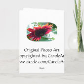 「トップパパ」父の日札 カード (裏面)