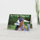 トップヤギ誕生日 カード (正面)